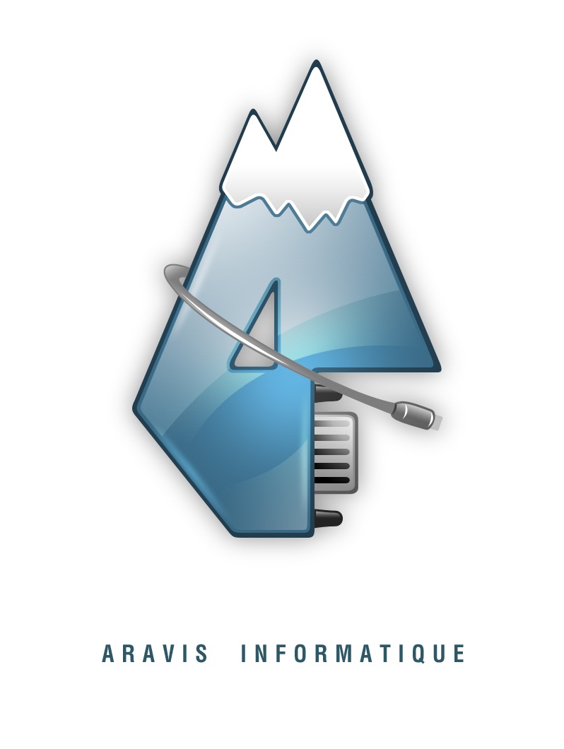 aravis-informatique.jpg